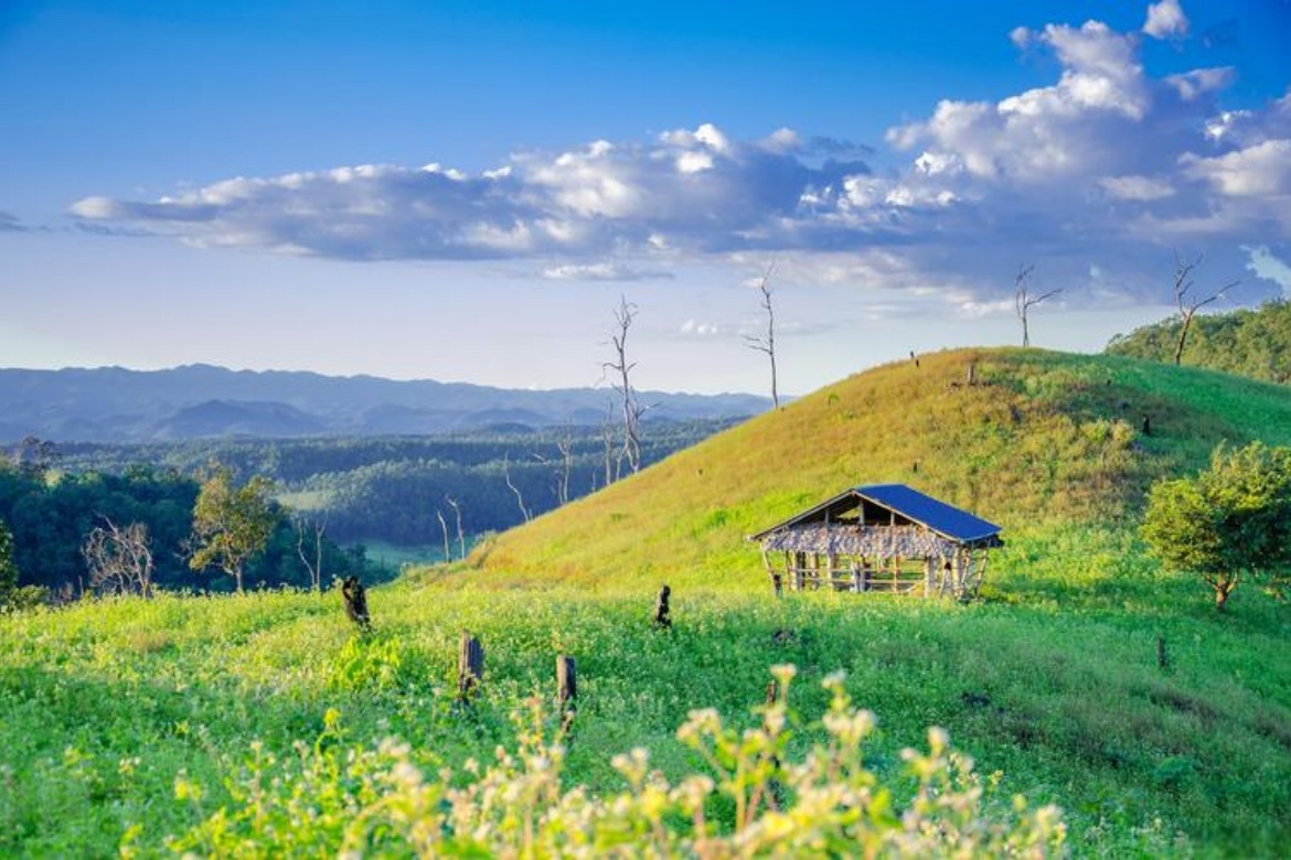 Cloudy Sky Grassland